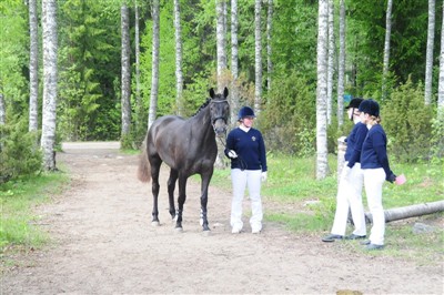 3 års test 2011