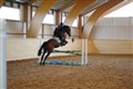 Hoppt 100514 015.JPG