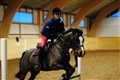 mgtr20110109 02.JPG