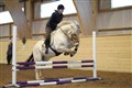 mgtr20110109 04.JPG