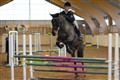 mgtr20110109 11.JPG
