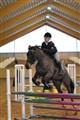 mgtr20110109 18.JPG