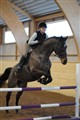 mgtr20110109 20.JPG