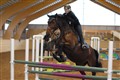 mgtr20110109 29.JPG