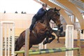 mgtr20110109 33.JPG
