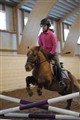 mgtr20110109 38.JPG