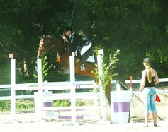 Tarantella 2009