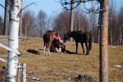 V&aring;ren 2010!